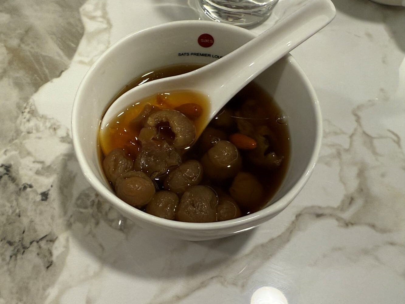 SATS Premier Lounge
