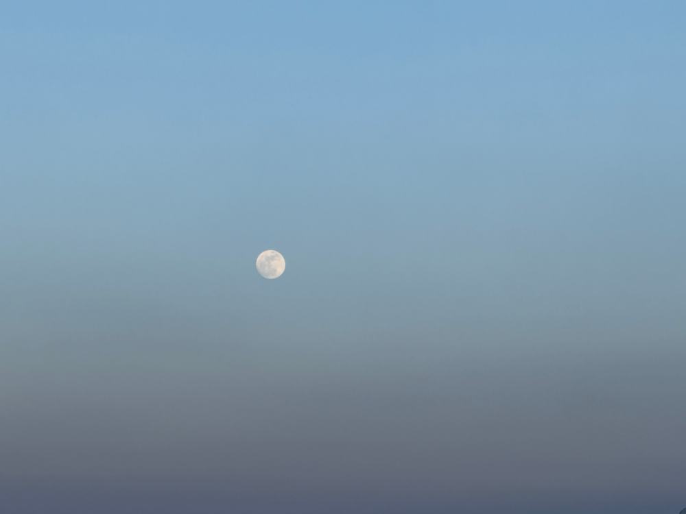 卡達航空
