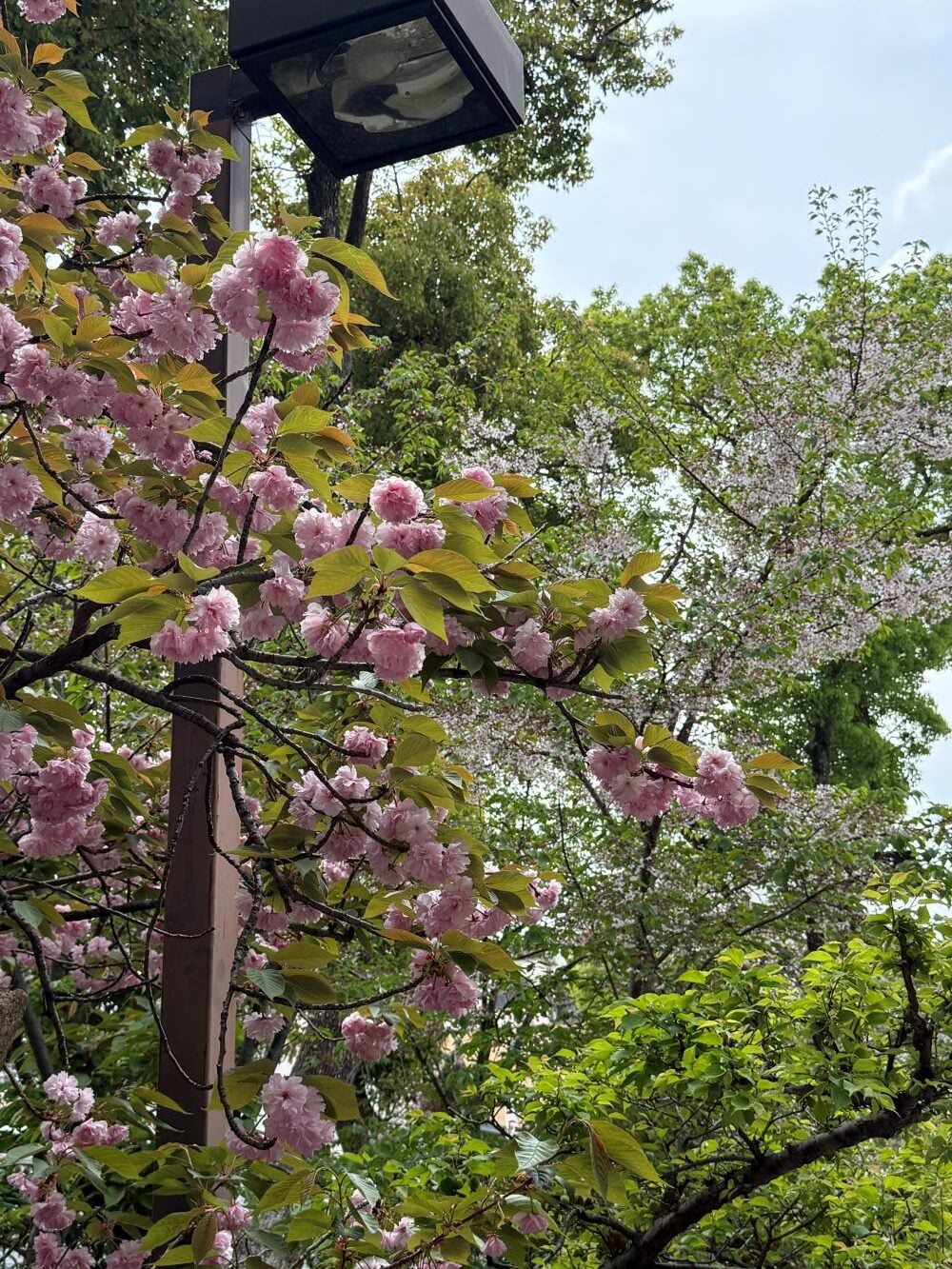 難波神社