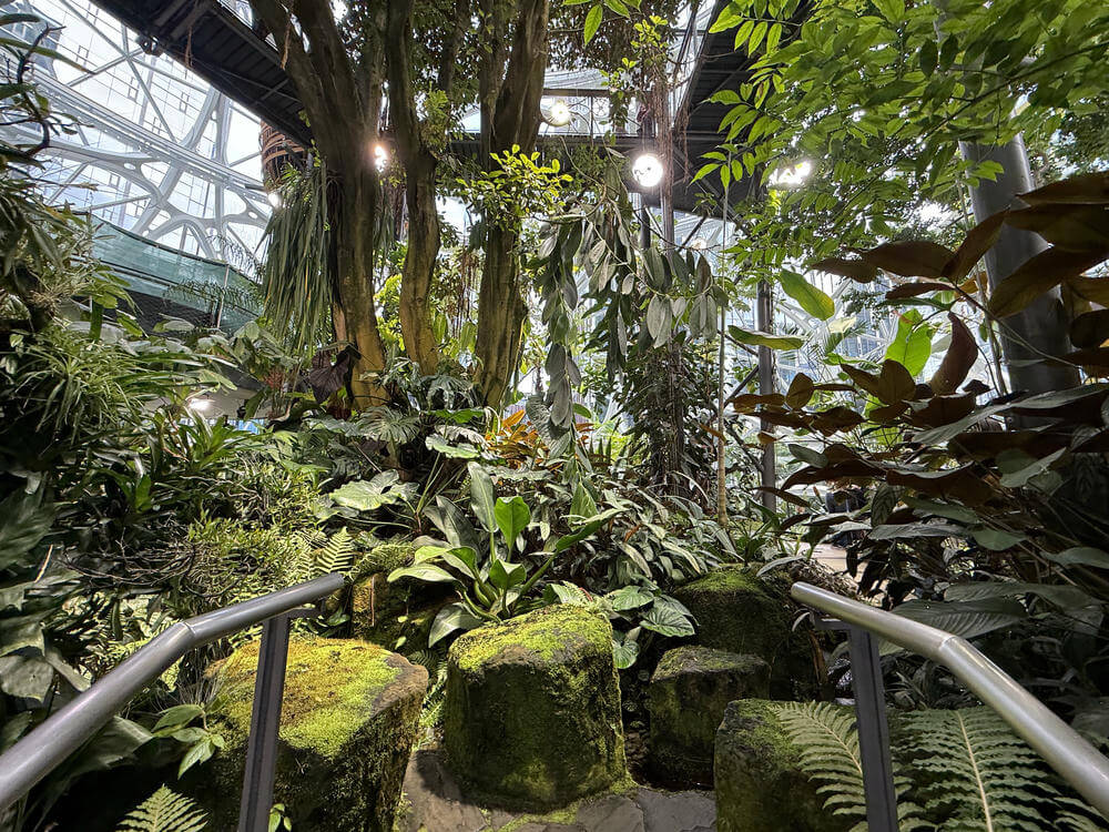 Amazon Spheres