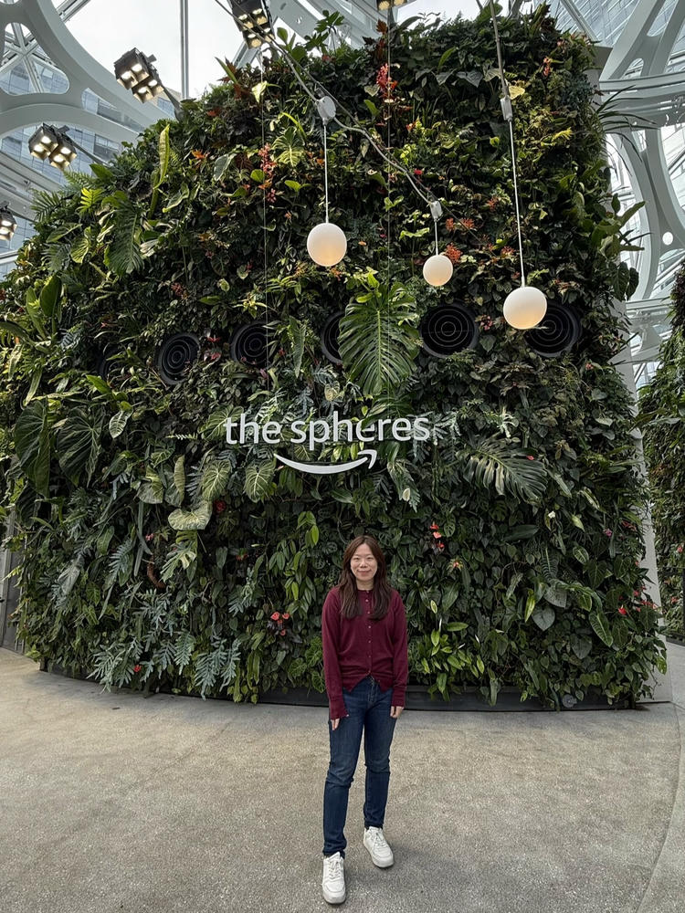 Amazon Spheres