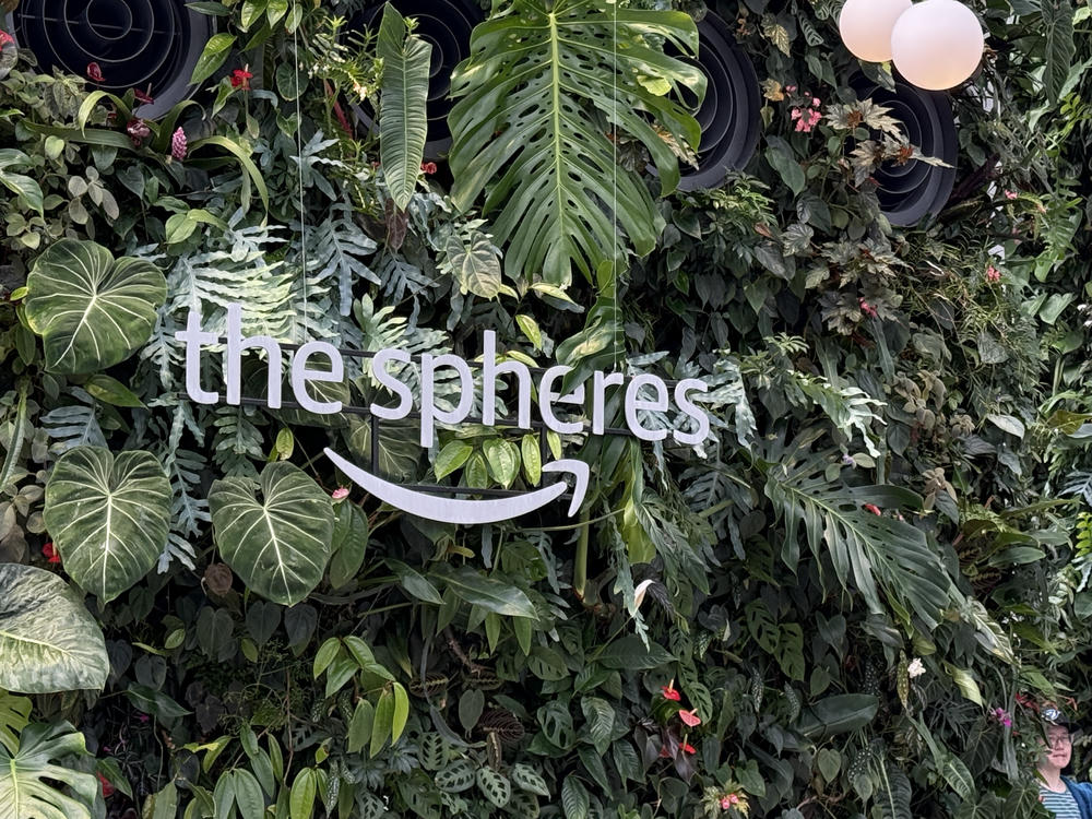 Amazon Spheres
