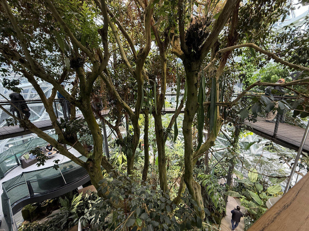 Amazon Spheres