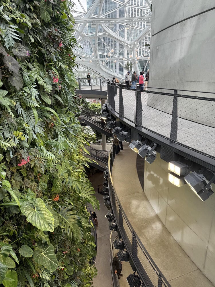 Amazon Spheres