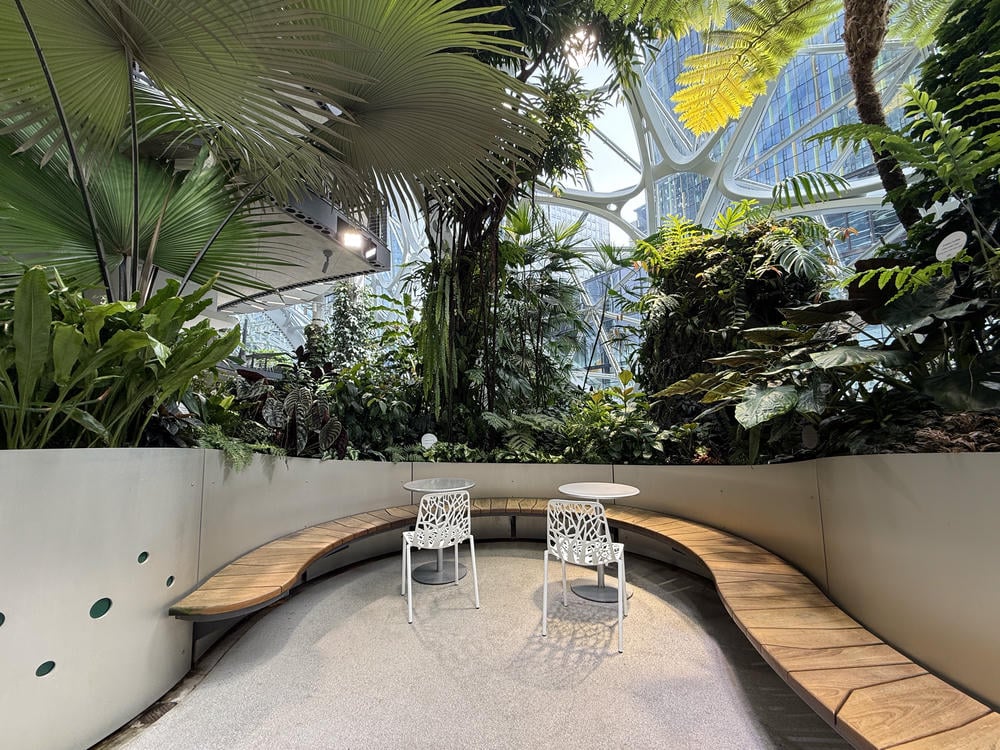 Amazon Spheres