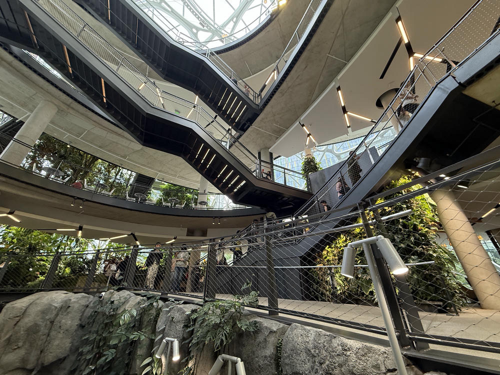 Amazon Spheres