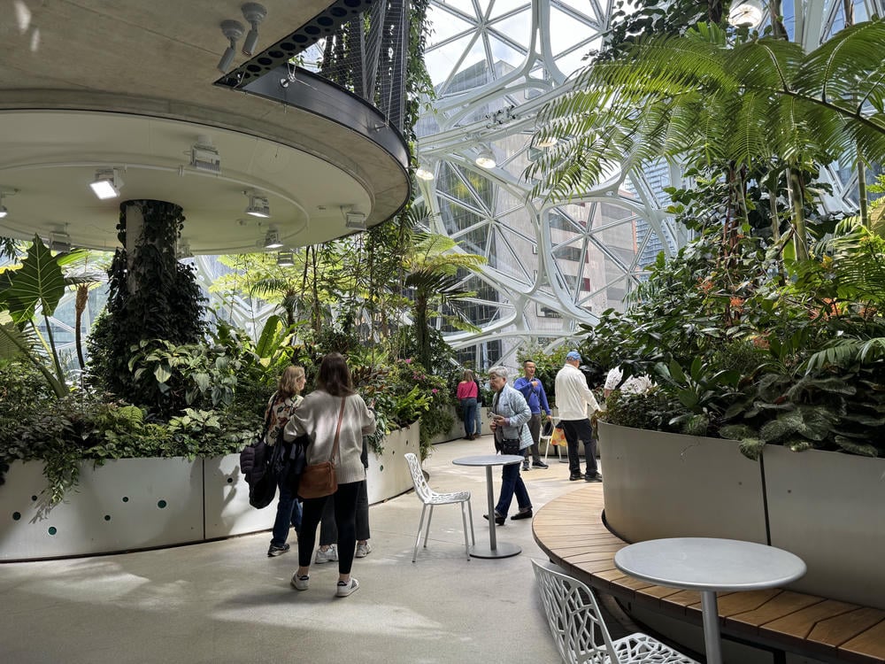 Amazon Spheres