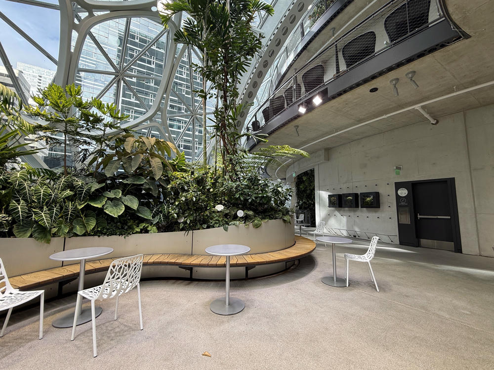 Amazon Spheres