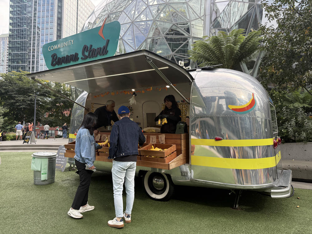 Amazon Spheres