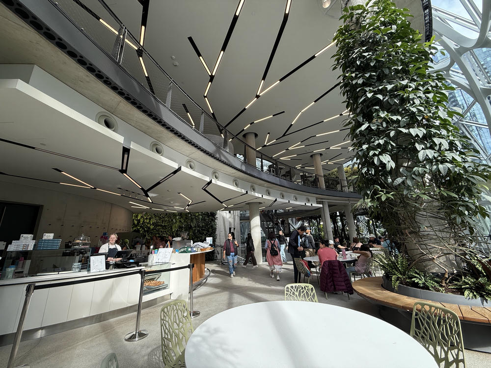 Amazon Spheres