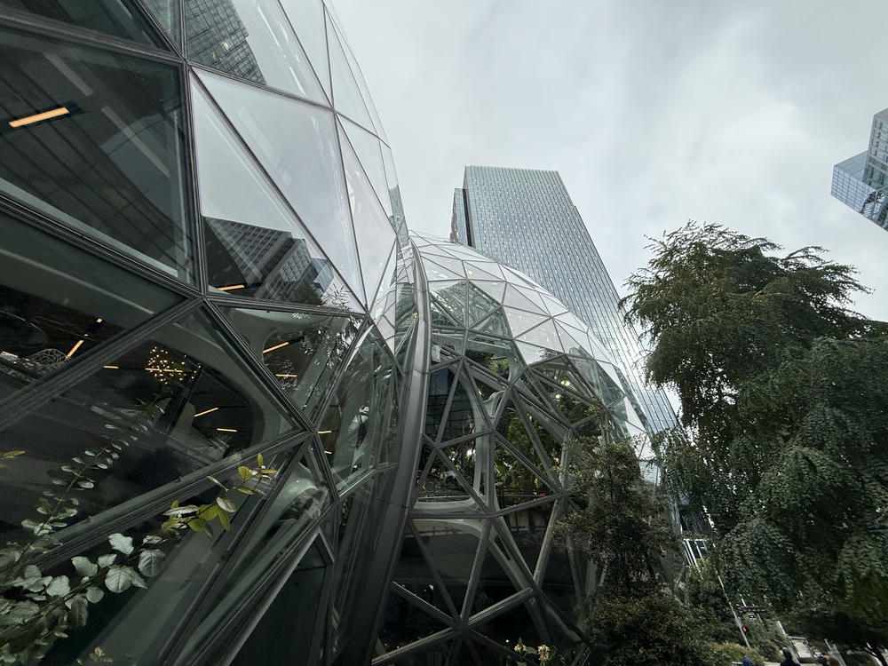 Amazon Spheres