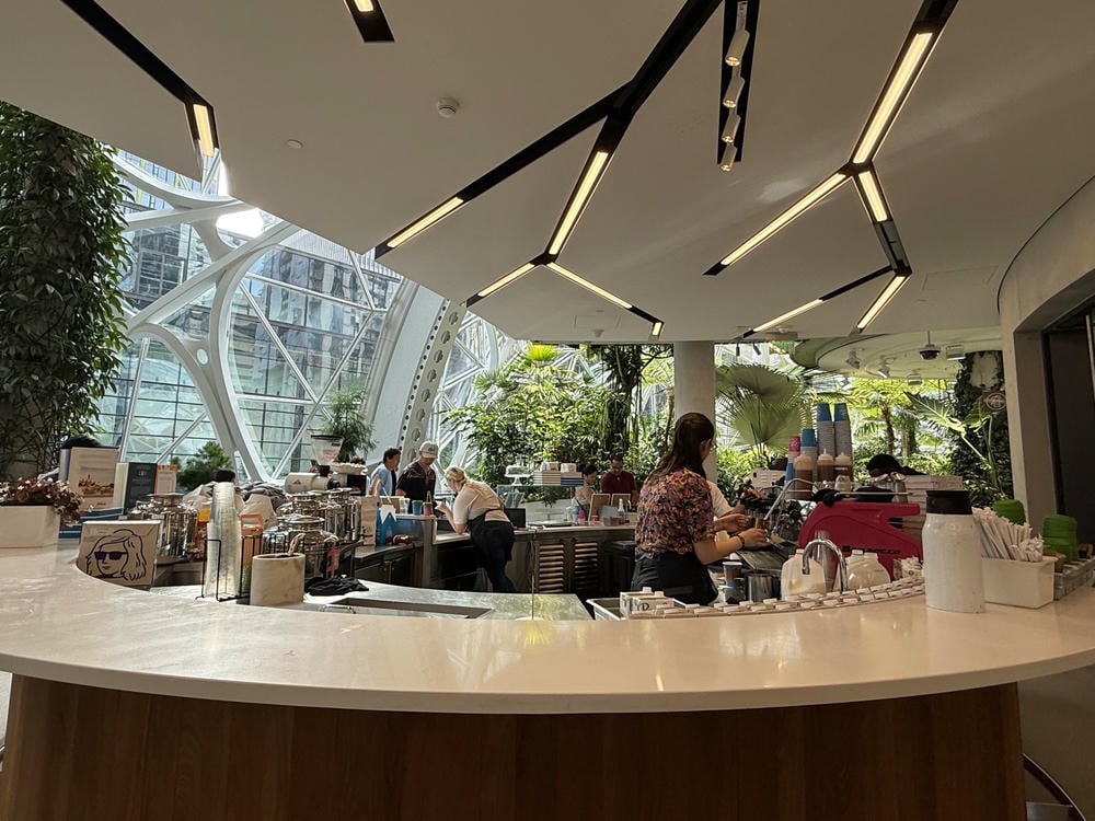 Amazon Spheres