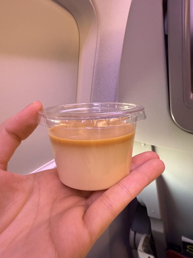 日本航空經濟艙
