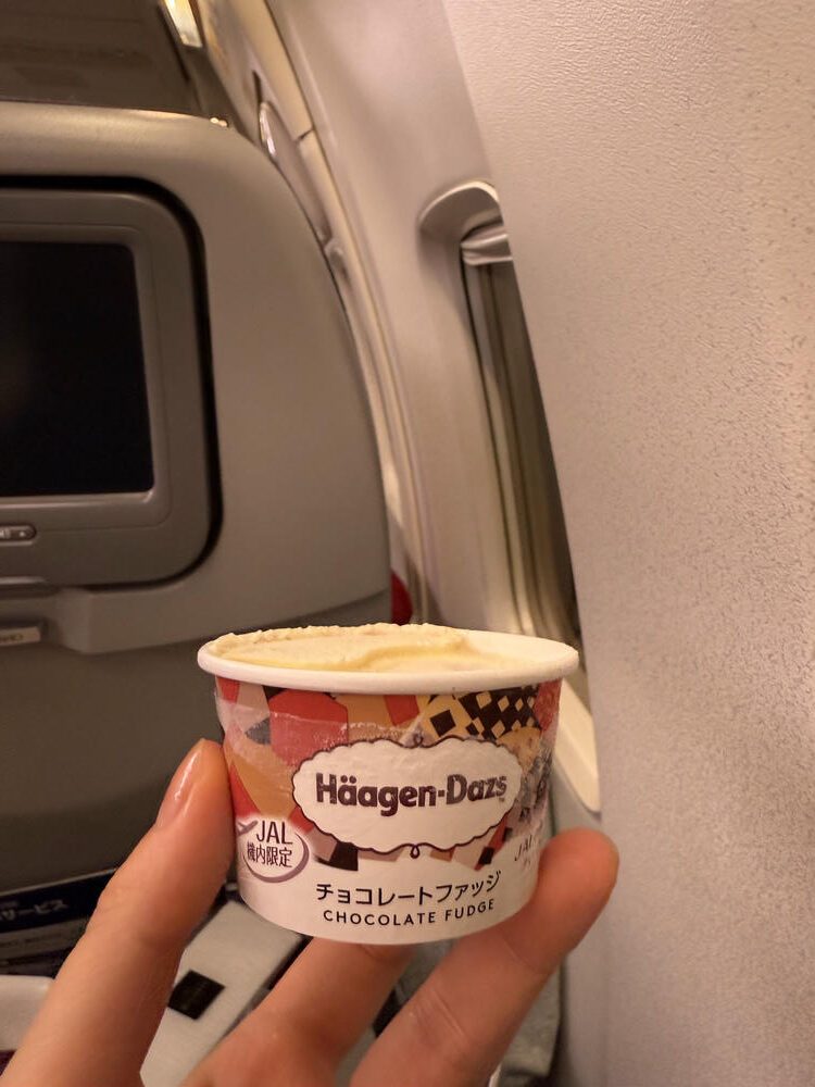 日本航空經濟艙