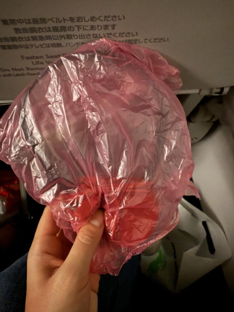 日本航空經濟艙
