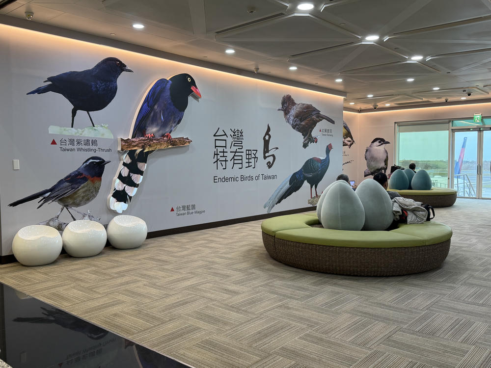 日本航空經濟艙