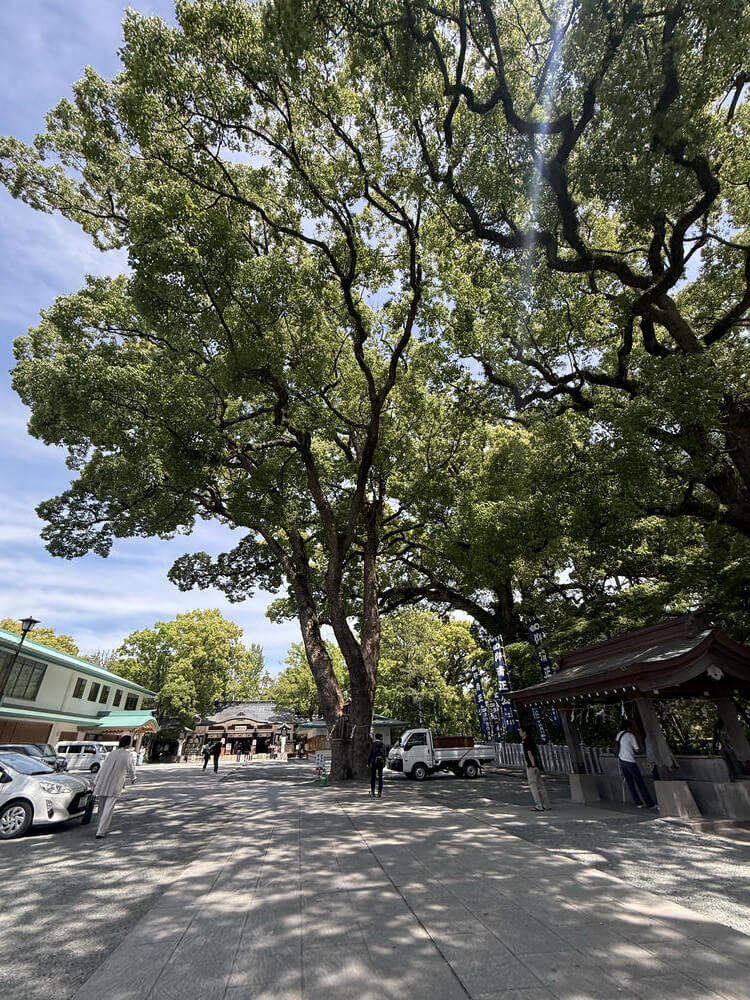 熊本城