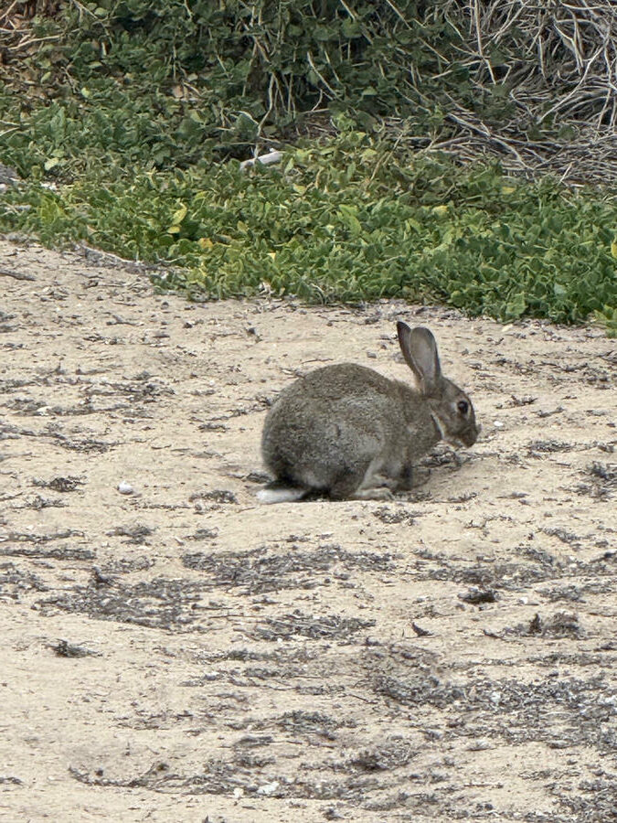 NRMA Port Campbell