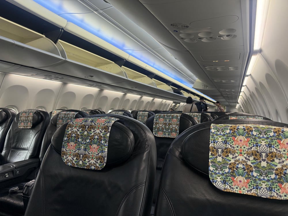 日本越洋航空